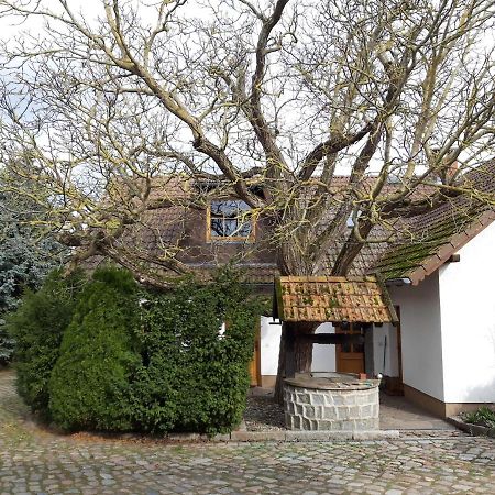 Ein Bett im Kornfeld - Haus Weitblick - mit Innenpool Schonfeld  Exterior foto