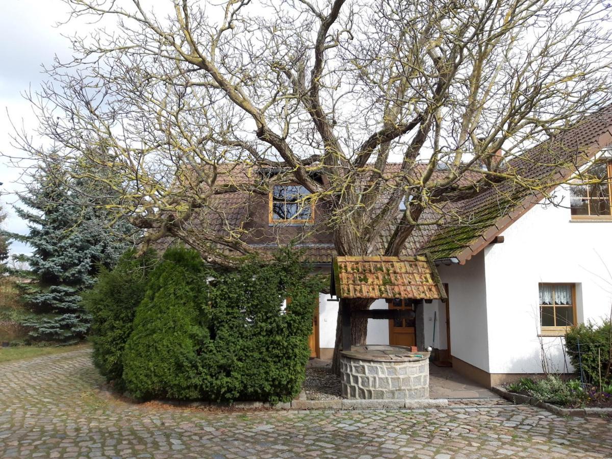 Ein Bett im Kornfeld - Haus Weitblick - mit Innenpool Schonfeld  Exterior foto
